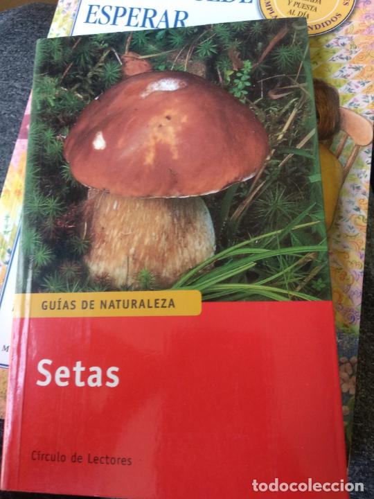 Libros de segunda mano: Gu&iacute;as de la naturaleza, setas. Circulo de lectores - Foto 1