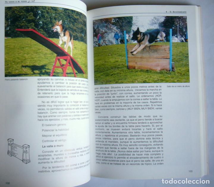 Libros de segunda mano: YO EDUCO A MI PERRO... &iquest; Y TU ? - VICTOR CUESTA - Foto 2