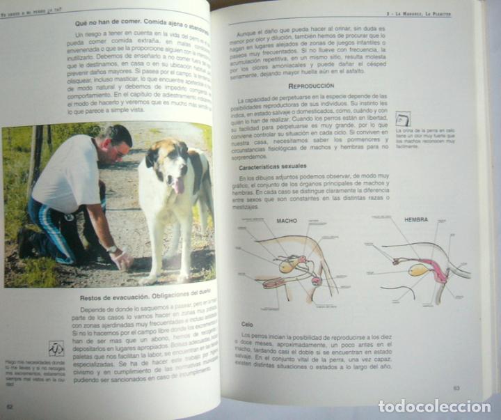 Libros de segunda mano: YO EDUCO A MI PERRO... &iquest; Y TU ? - VICTOR CUESTA - Foto 3