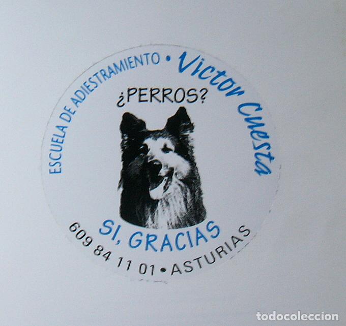 Libros de segunda mano: YO EDUCO A MI PERRO... &iquest; Y TU ? - VICTOR CUESTA - Foto 7
