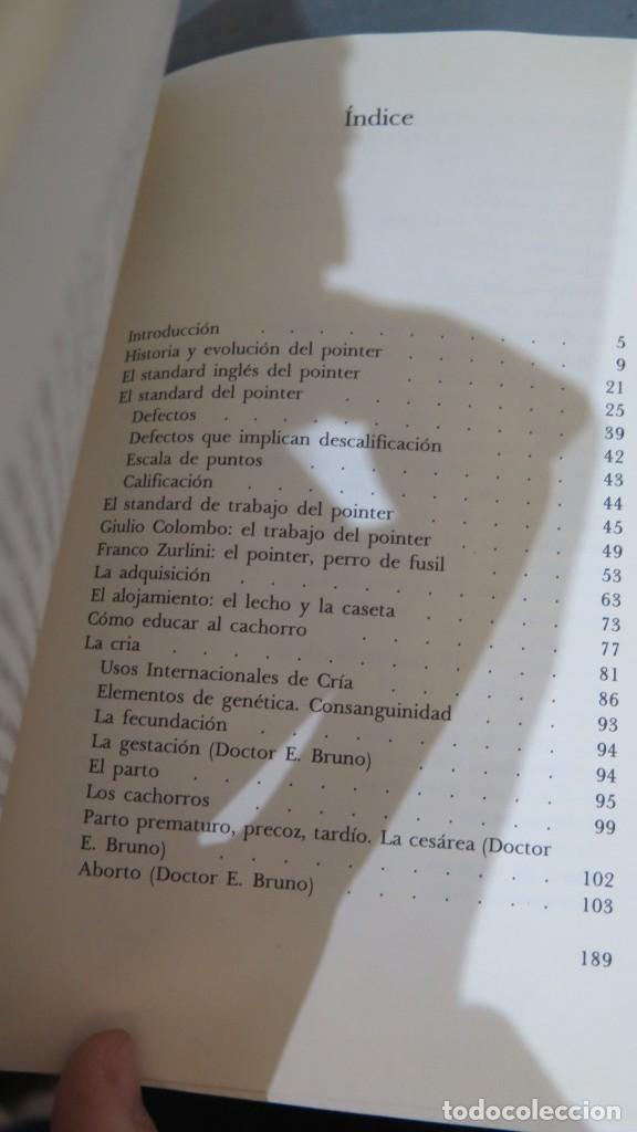 Libros de segunda mano: EL POINTER. FIORENZO FIORONE - Foto 2