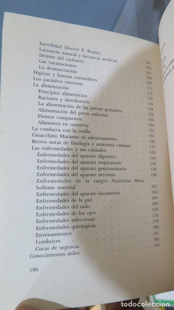 Libros de segunda mano: EL POINTER. FIORENZO FIORONE - Foto 3
