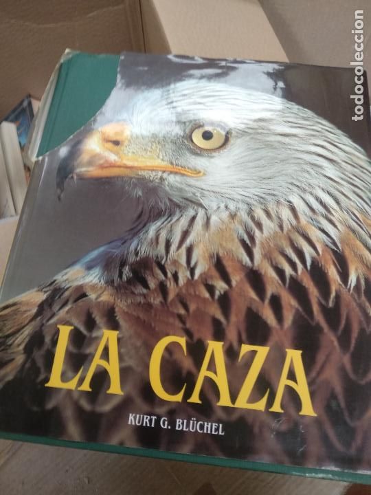 Libros de segunda mano: La caza. Kurt G. Bluchel. Konemann - Foto 1