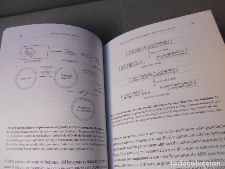 Libros de segunda mano: POR QUE SOMOS COMO SOMOS - Foto 6