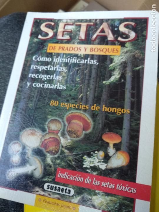 Libros de segunda mano: SETAS DE PRADOS Y BOSQUES - SUSAETA - Foto 1