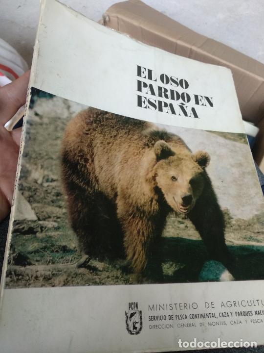 Libro De El Oso Pardo En España Año 1970 Vendido En Venta Directa 228352370 