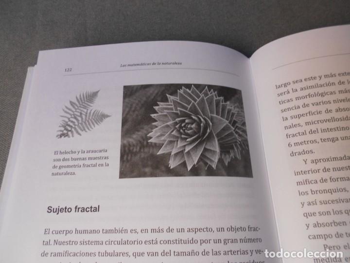 Libros de segunda mano de ciencias: LAS MATEMATICAS DE LA NATURALEZA - Foto 5