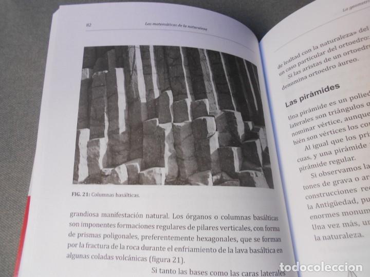 Libros de segunda mano de ciencias: LAS MATEMATICAS DE LA NATURALEZA - Foto 6
