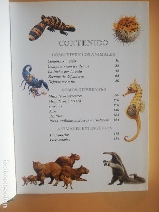 Libros de segunda mano: 365 CURIOSIDADES DE LOS ANIMALES. TODOLIBRO EDICIONES. - Foto 3