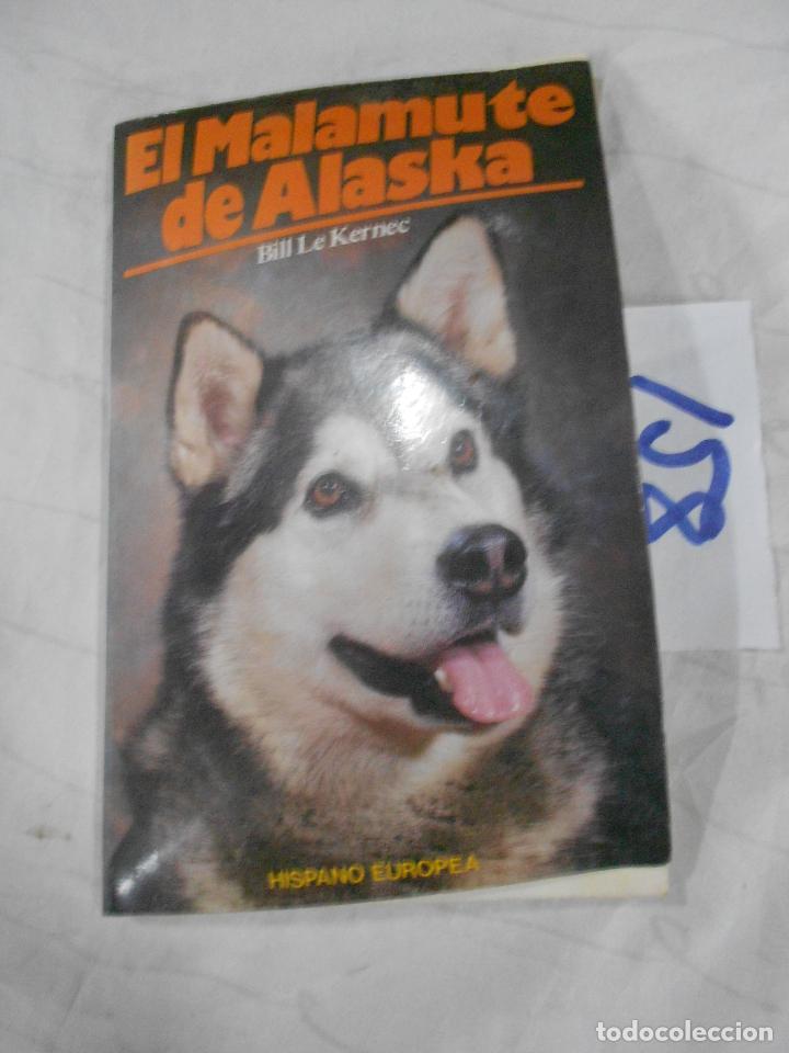 Libros de segunda mano: EL MALAMUTE DE ALASKA - Foto 1