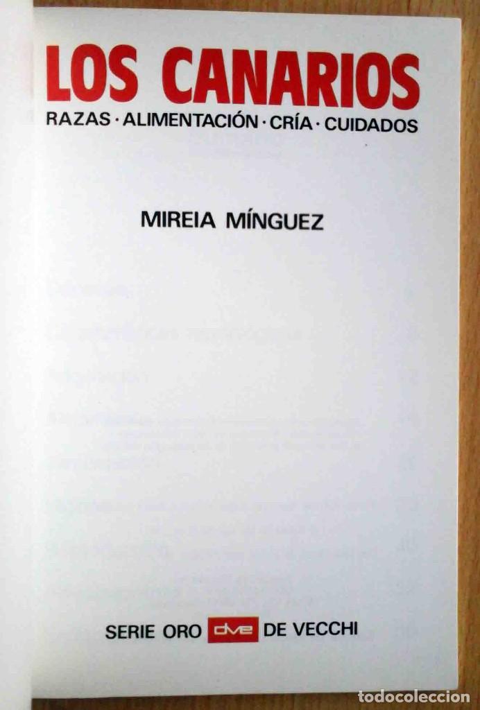 Libros de segunda mano: Los canarios (Mireia M&iacute;nguez) Ilustrado. - Foto 2