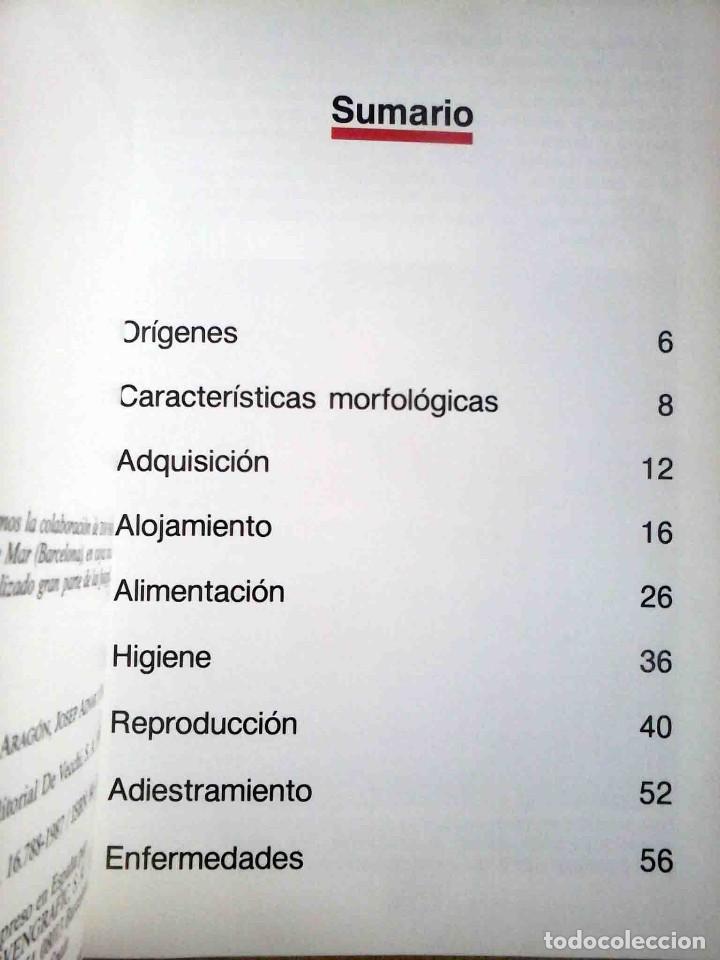 Libros de segunda mano: Los canarios (Mireia M&iacute;nguez) Ilustrado. - Foto 3