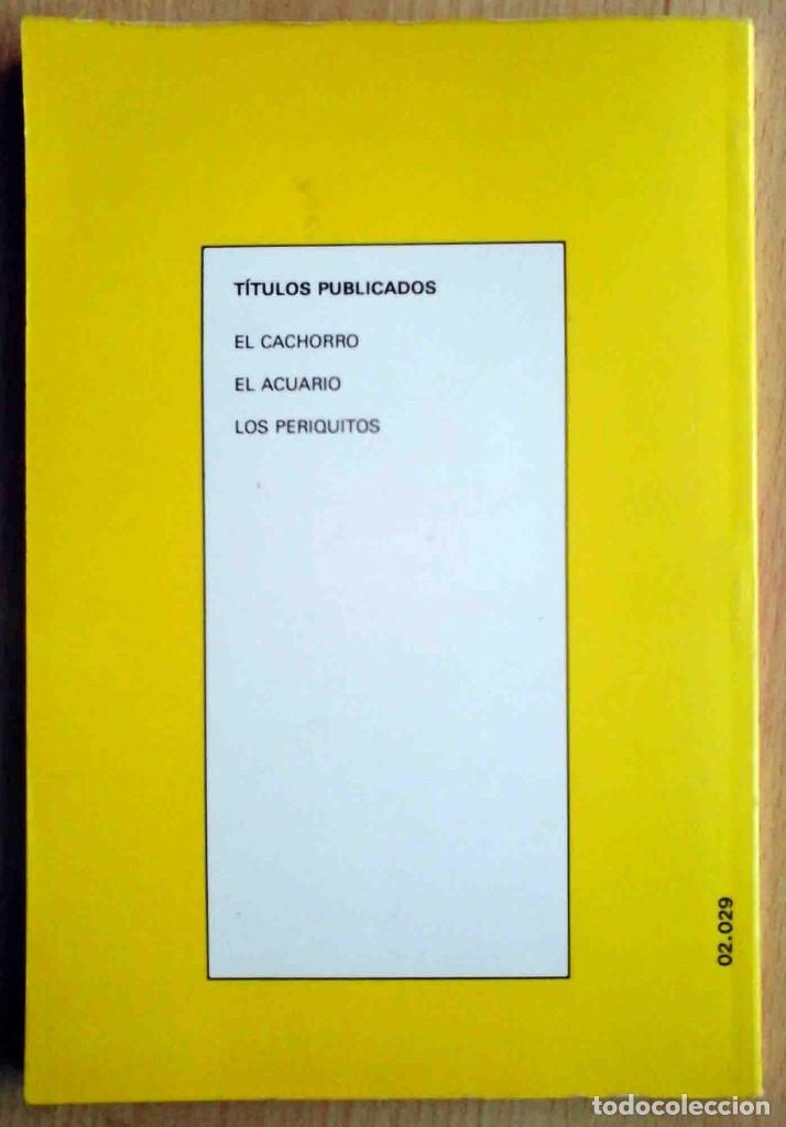 Libros de segunda mano: Los canarios (Mireia M&iacute;nguez) Ilustrado. - Foto 4