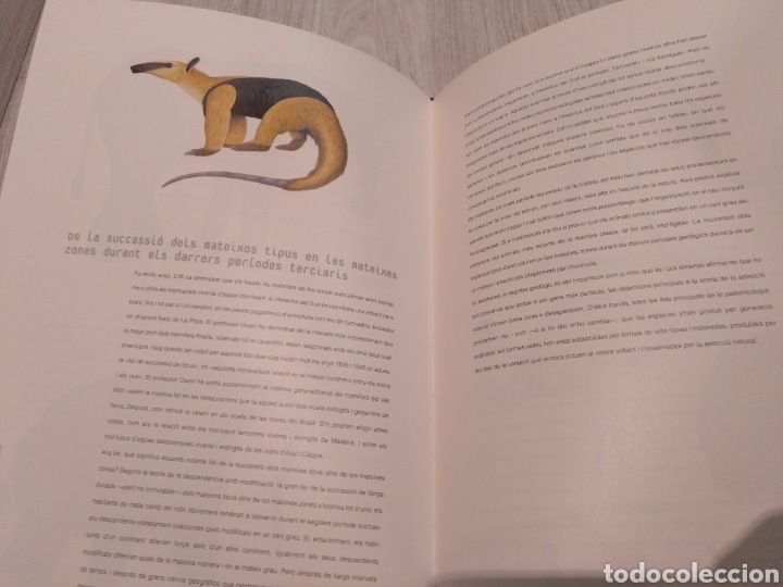 Libros de segunda mano: Libro LOrigen de les esp&egrave;cies Charles Darwin 2009 Institut Estudis Catalans - Foto 2