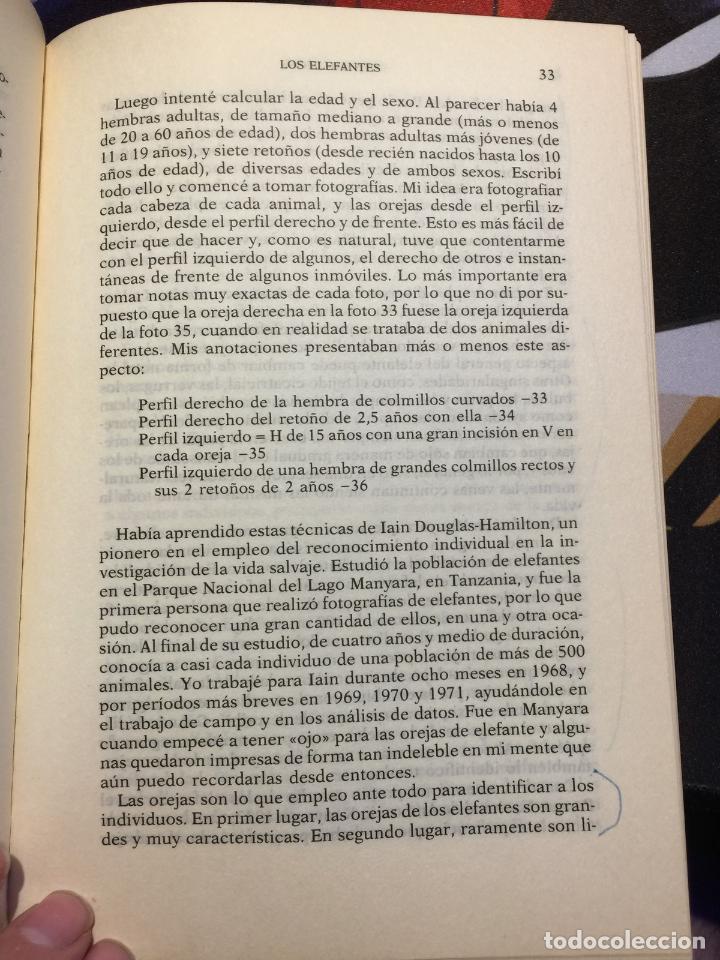 Libros de segunda mano: Los elefantes - Cynthia Moss - Foto 4