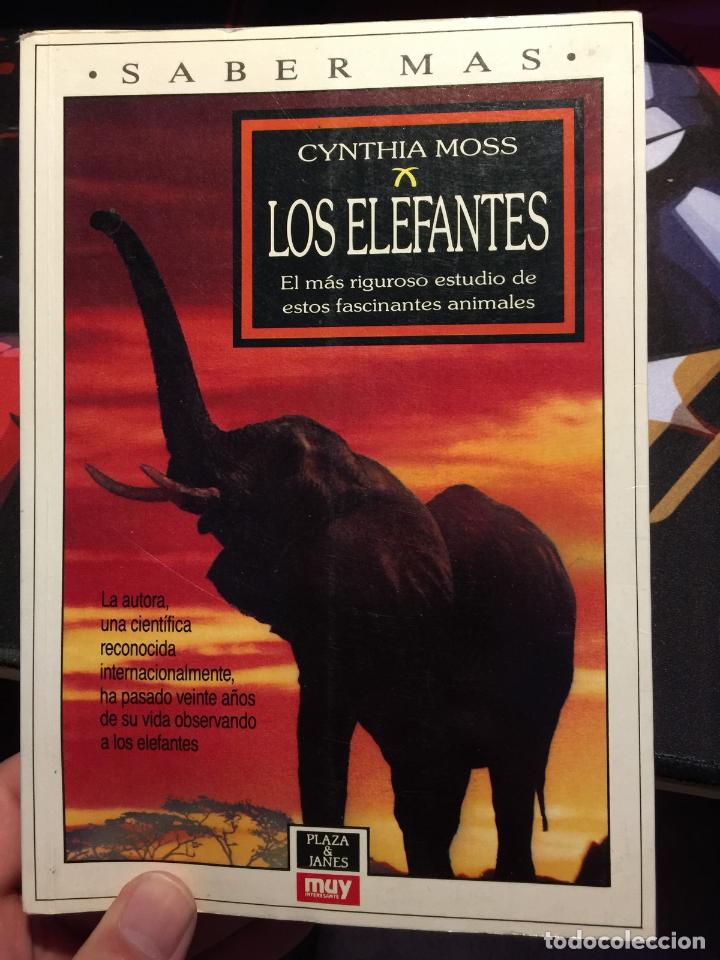 Libros de segunda mano: Los elefantes - Cynthia Moss - Foto 1