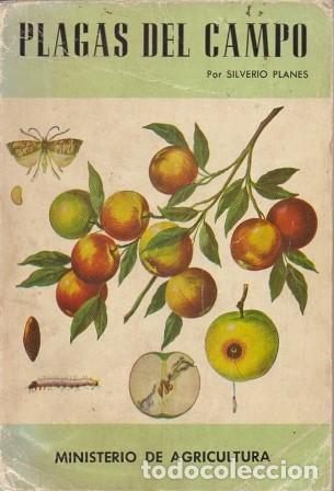 Libros de segunda mano: PLAGAS DEL CAMPO - PLANES, SILVERIO - A-AGRI-168 - Foto 1