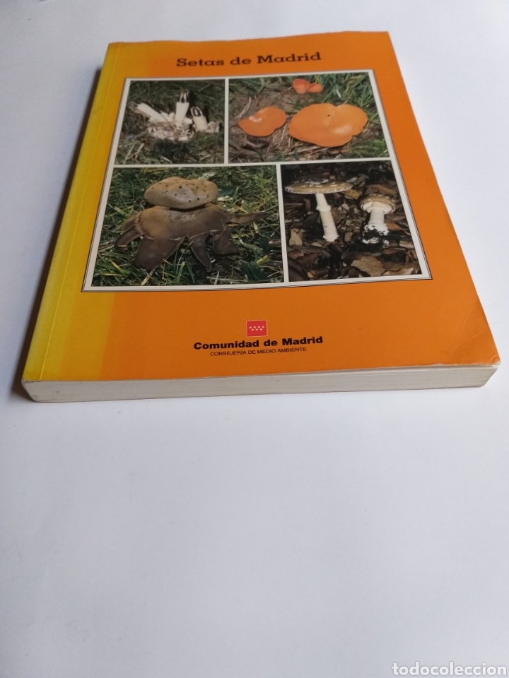 Libros de segunda mano: Setas de Madrid Francisco de Diego - Foto 2