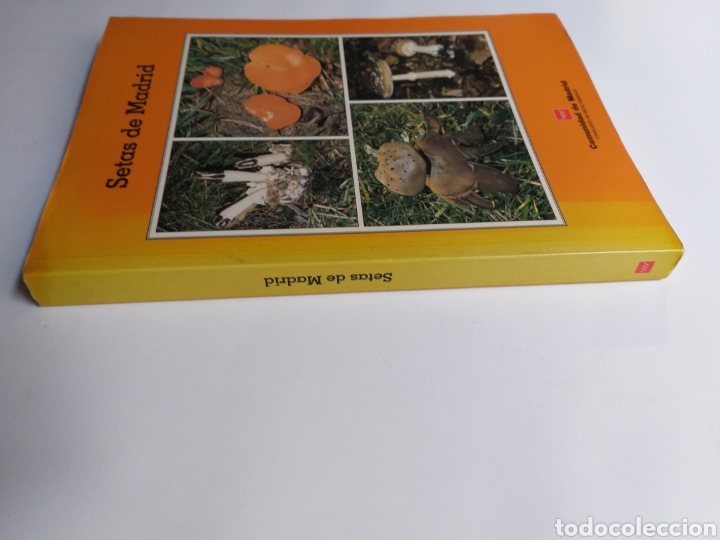 Libros de segunda mano: Setas de Madrid Francisco de Diego - Foto 3