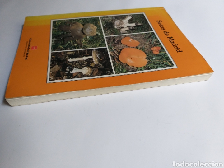 Libros de segunda mano: Setas de Madrid Francisco de Diego - Foto 4