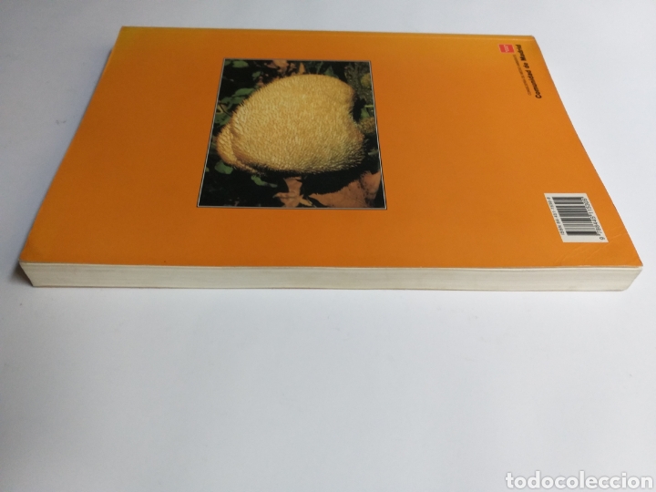 Libros de segunda mano: Setas de Madrid Francisco de Diego - Foto 6