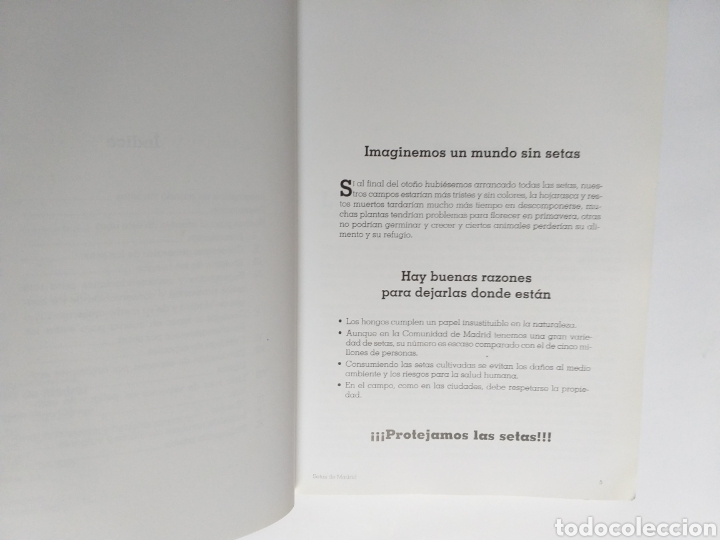 Libros de segunda mano: Setas de Madrid Francisco de Diego - Foto 11