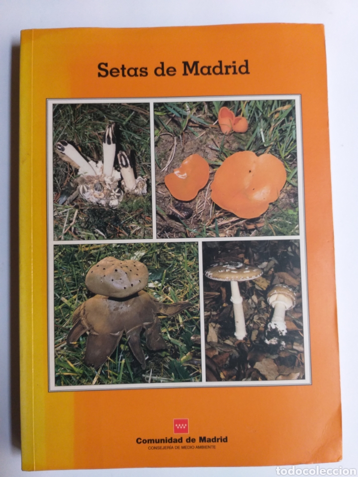 Libros de segunda mano: Setas de Madrid Francisco de Diego - Foto 1