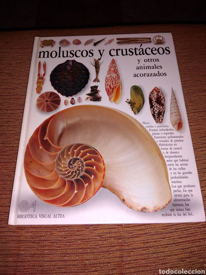 Libros de segunda mano: Moluscos y crust&aacute;ceos la biblioteca visual altea - Foto 1