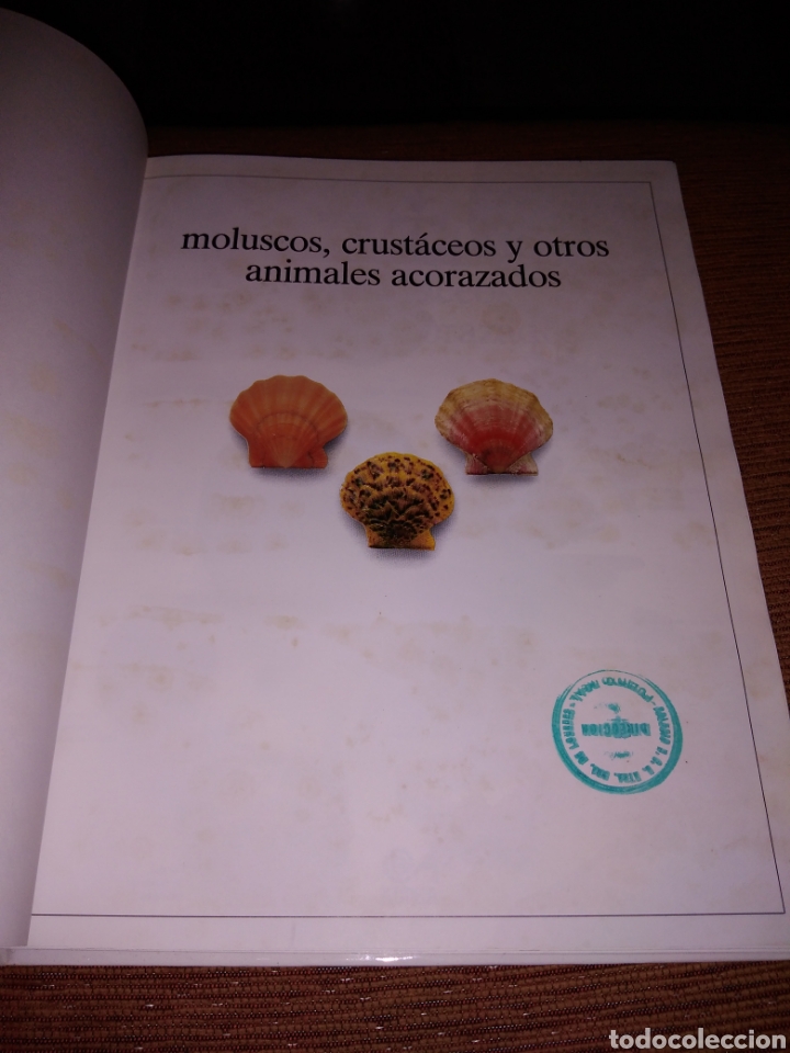 Libros de segunda mano: Moluscos y crust&aacute;ceos la biblioteca visual altea - Foto 2