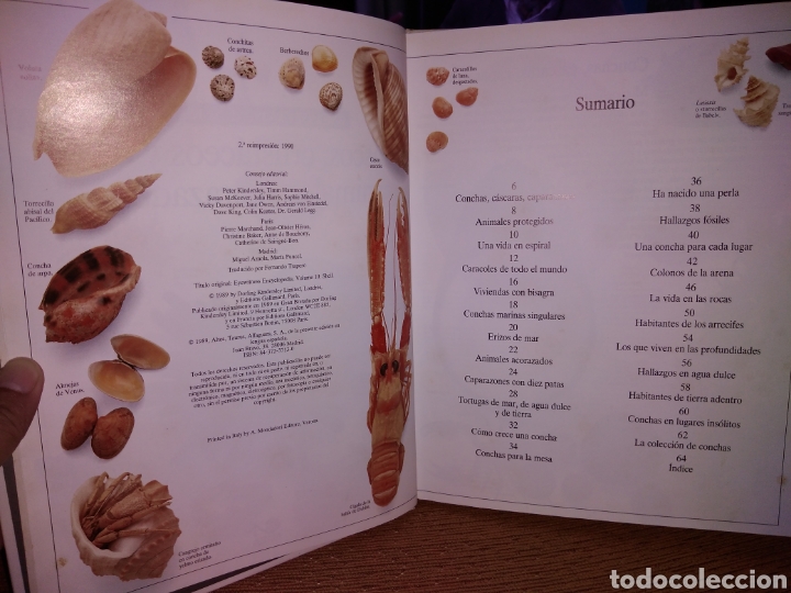 Libros de segunda mano: Moluscos y crust&aacute;ceos la biblioteca visual altea - Foto 3