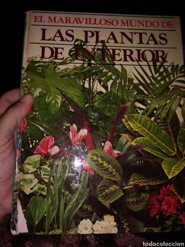 Libri di seconda mano: El maravilloso mundo de las plantas de interior revista telva jardiner&iacute;a