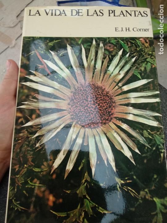 Libros de segunda mano: LA VIDA DE LAS PLANTAS &ndash; E. J. H. CORNER - Foto 1
