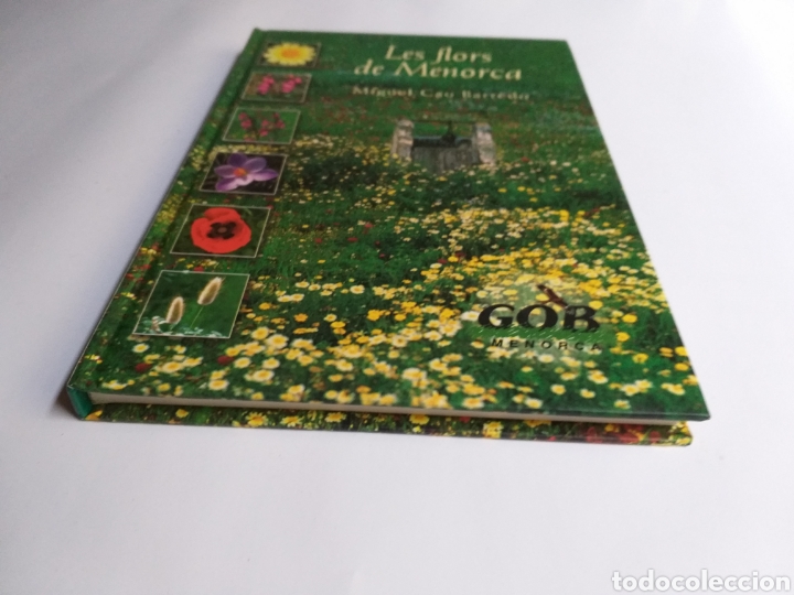 Libros de segunda mano: Les flors de Menorca Miguel Cao Barredo .. Baleares - Foto 2