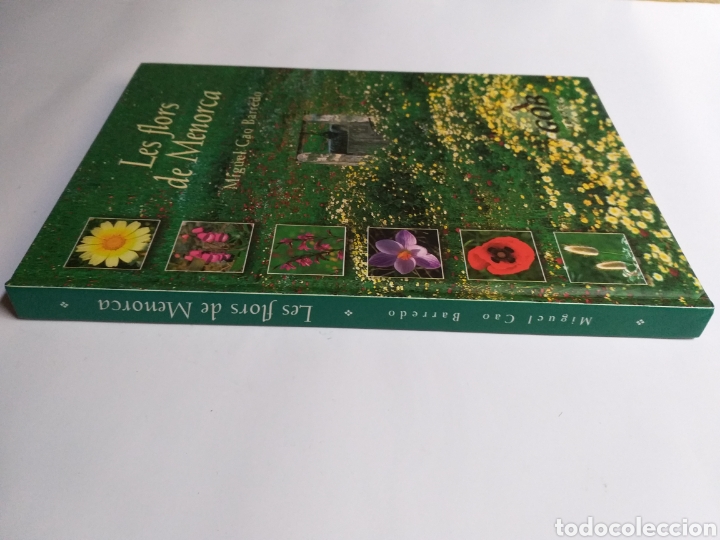 Libros de segunda mano: Les flors de Menorca Miguel Cao Barredo .. Baleares - Foto 3