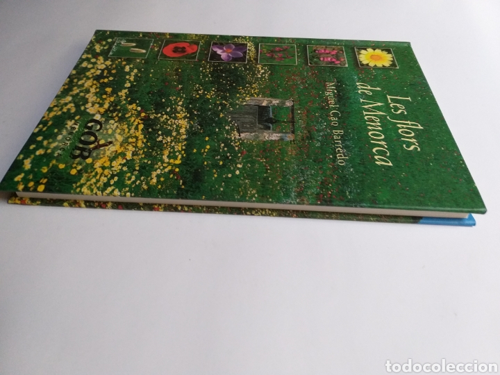 Libros de segunda mano: Les flors de Menorca Miguel Cao Barredo .. Baleares - Foto 4