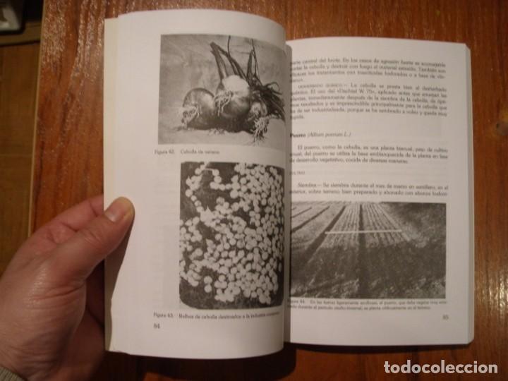 Libros de segunda mano: LIBRO GUIA PRACTICA DE HORTICULTURA - Foto 2