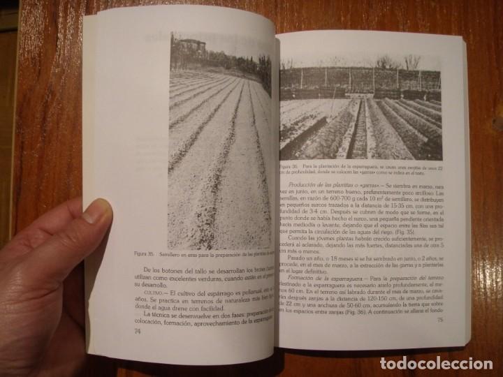 Libros de segunda mano: LIBRO GUIA PRACTICA DE HORTICULTURA - Foto 3