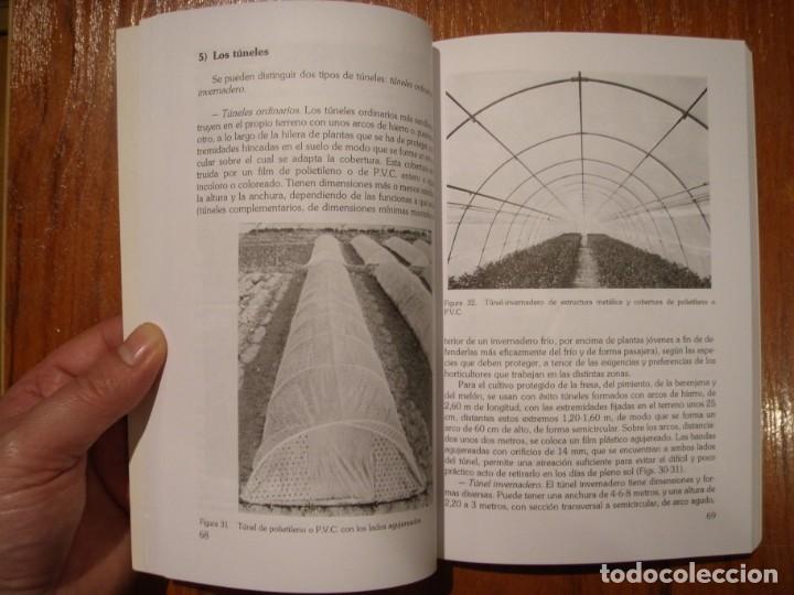 Libros de segunda mano: LIBRO GUIA PRACTICA DE HORTICULTURA - Foto 4