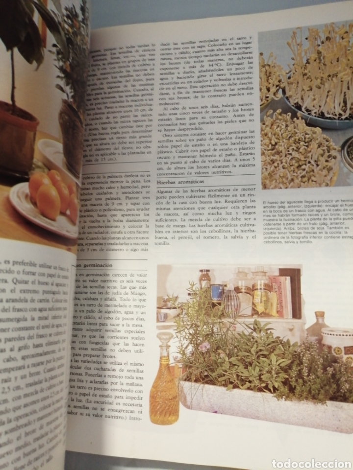 Libros de segunda mano: EL LIBRO DE ORO DEL JARD&Iacute;N Y LAS PLANTAS DE INTERIOR - Foto 6
