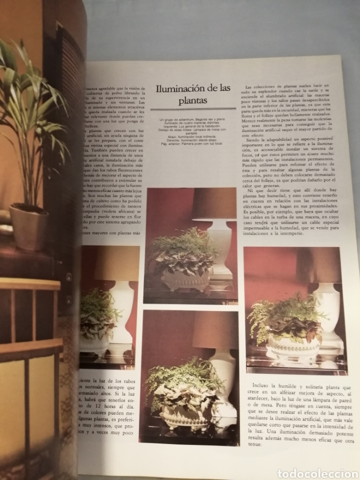 Libros de segunda mano: EL LIBRO DE ORO DEL JARD&Iacute;N Y LAS PLANTAS DE INTERIOR - Foto 8