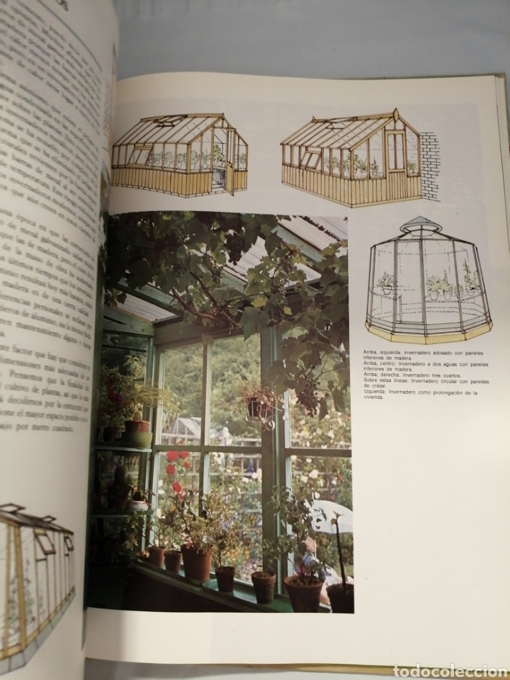 Libros de segunda mano: EL LIBRO DE ORO DEL JARD&Iacute;N Y LAS PLANTAS DE INTERIOR - Foto 10