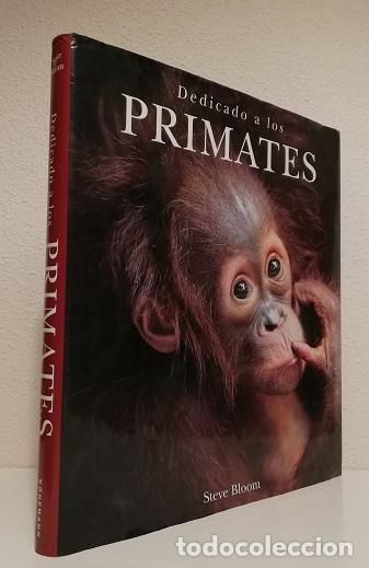 Libros de segunda mano: Blomm, Steve: Dedicado a los primates (K&ouml;neman) (lb) - Foto 1