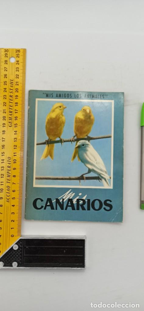 Libros de segunda mano: MIS CANARIOS 1969 ENVIO CERTIFICADO GRATUITO - Foto 1