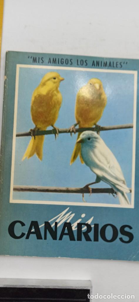 Libros de segunda mano: MIS CANARIOS 1969 ENVIO CERTIFICADO GRATUITO - Foto 2