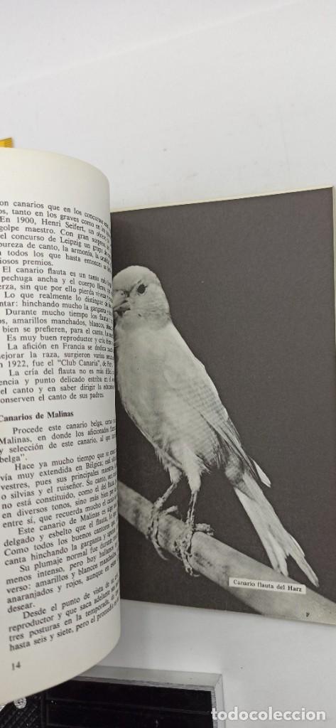 Libros de segunda mano: MIS CANARIOS 1969 ENVIO CERTIFICADO GRATUITO - Foto 10