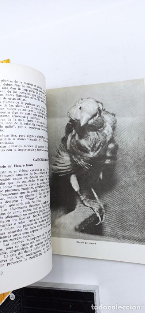 Libros de segunda mano: MIS CANARIOS 1969 ENVIO CERTIFICADO GRATUITO - Foto 11
