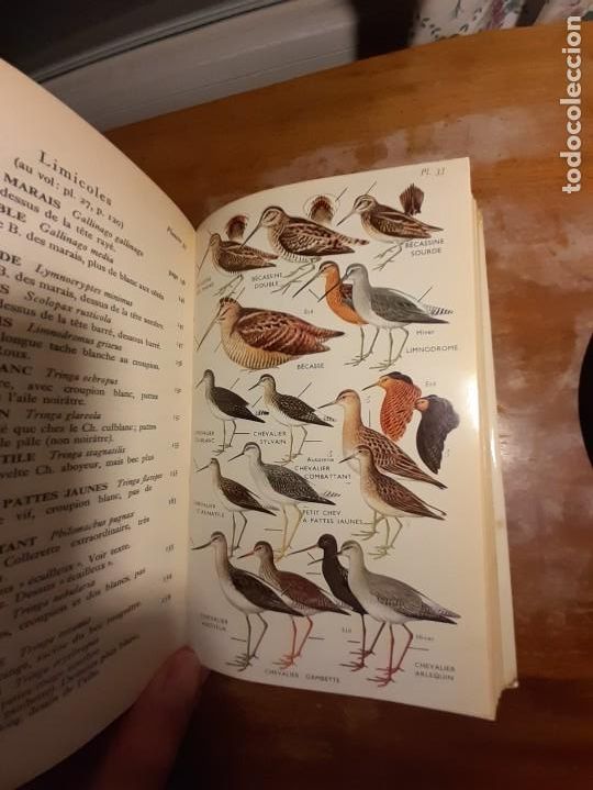 Libros de segunda mano: Guide des oiseaux dEurope - Foto 3