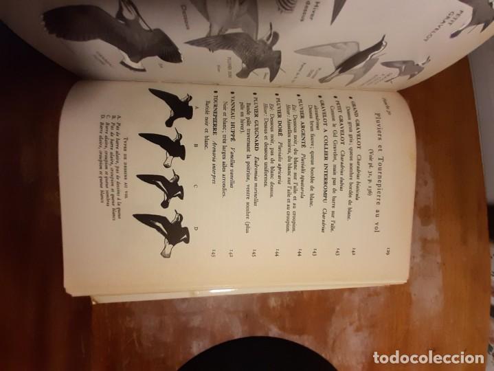Libros de segunda mano: Guide des oiseaux dEurope - Foto 8
