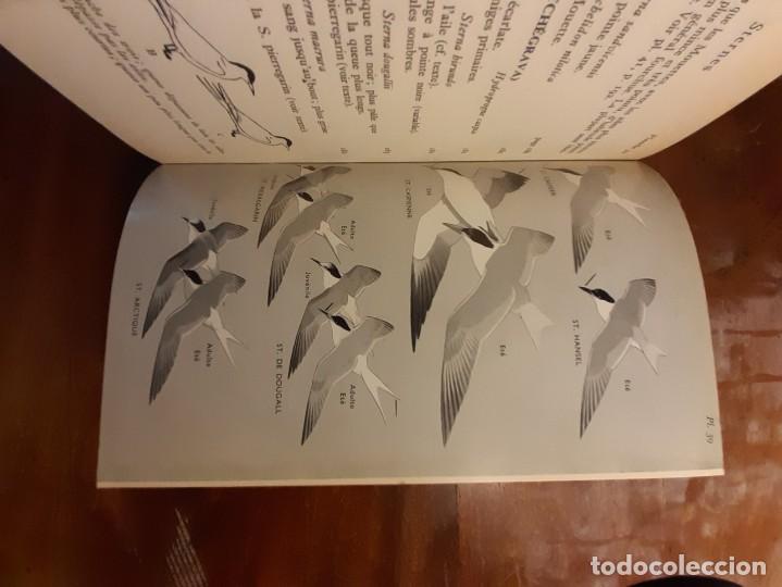 Libros de segunda mano: Guide des oiseaux dEurope - Foto 10