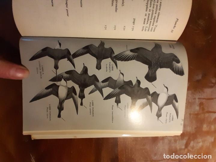 Libros de segunda mano: Guide des oiseaux dEurope - Foto 11